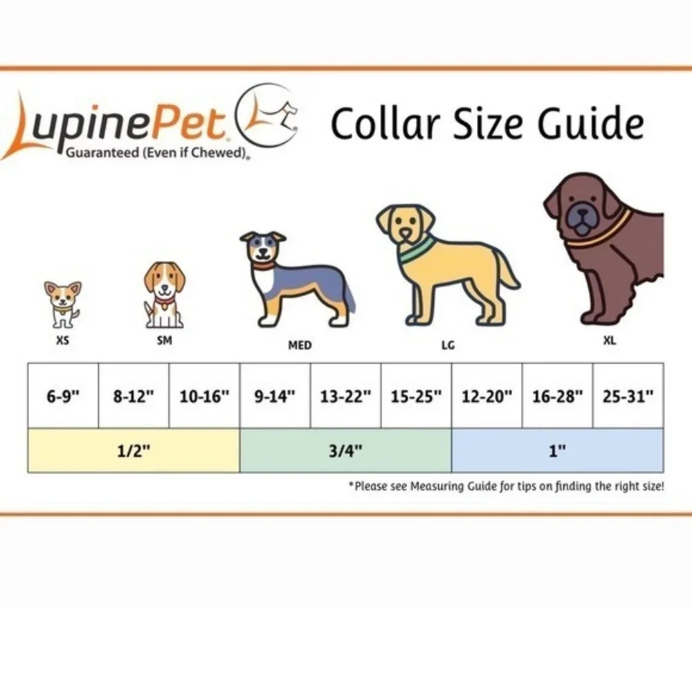Lupine Pet Dog‎ Collar Crazy Daisy - 3/4 Inch width NWOT